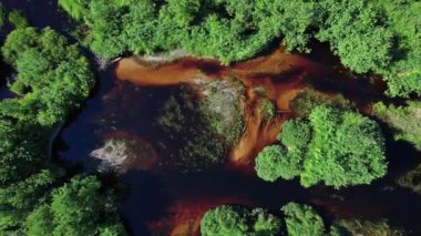 Kahverengi kıvrımlı nehir sakin dere ya da derede su yosunları ve yeşillik çevresi, yukarıdan aşağı hava manzarası. Algonquin bölgesi, Ontario, Kanada, Kuzey Amerika. Doğal fenomen.