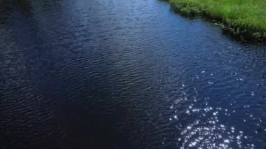 Çam ağaçları, Britanya Kolumbiyası, Kanada, Kuzey Amerika 'nın çevresi çam ağaçlarıyla çevrili vahşi yoldaki nehir manzarasının en aşağısında. Akarsu deresinin üzerinden uçuş.