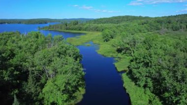 Jacks Creek Zırhı, Ontario Pickerel Gölü 'ne uçuyor. Kanada, Kuzey Amerika 'daki kahverengi su deresinin yukarıdan aşağıya tasviri. Yeşil eğreltiotu ile güzel küçük nehir çıkışı.
