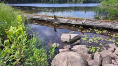 Vancouver, Kanada, Kuzey Amerika 'daki sakin göl panoramik manzarası. Yaz günü yolculuk sırasında kayalar, çakıl taşları ve odunlarla dolu bir liman. Dağlarda mavi gökyüzü ve beyaz bulutlarla.