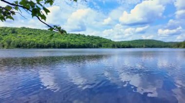 Vancouver, Kanada, Kuzey Amerika 'daki sakin göl panoramik manzarası. Yolculuk sırasında, yaz günü yavaş çekimde, ıssız ve vahşi ormanlarla dolu bir liman. Dağlarda mavi gökyüzü ve beyaz bulutlarla.