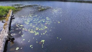 Vancouver, Kanada, Kuzey Amerika 'daki sakin göl panoramik manzarası. Yaz günü yolculuk sırasında kayalar, çakıl taşları ve odunlarla dolu bir liman. Dağlarda mavi gökyüzü ve beyaz bulutlarla.