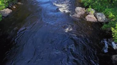 Akıntı ve kayalık nehir akıntısı uzak bölgedeki göle doğru akıyor. Kanada, British Columbia 'da ormandaki çam ağaçlarıyla çevrili bir su. Harika tatlı su çağlayan şelaleler gibi akıyor..