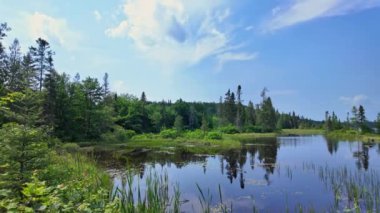Güzel Crown Land Gölü ve Kanada, Kuzey Amerika 'nın dağlık ormanları. Keşfedilmemiş doğayla çevrili berrak ve sakin bir su. Destansı manzara ve sakin göl, yüzeyde yansıyan bulutlar..