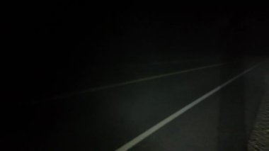 Bulanık Cadılar Bayramı dehşeti. Zifiri karanlık ormanın ortasında sisli bir arka plan. Gizemli yol. Gece sisli kırsal bir ormanda gezintiye çıktım. Sis kaplı ağaçlar, sis tabakası.