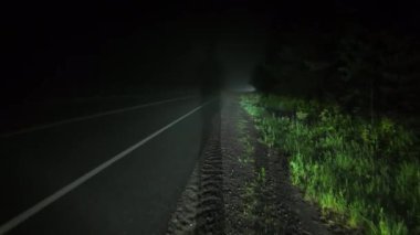 Cadılar Bayramı dehşeti zifiri karanlık ormanın ortasında sisli bir arka plan. Gizemli yolda yürüyorum. Gece sisli kırsal bir orman yolunda yürüyüş. Sis kaplı ağaçlar, sis tabakası.