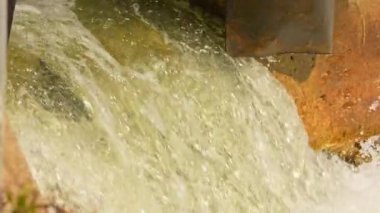 Ganaraska Nehri, Corbett Barajı, Port Hope, Ontario, Kanada 'nın sığ sularında somon yumurtlama. Chinook ya da Atlantik somonlarının nehre atladığı büyük vahşi bir okulun yavaş çekimleri..