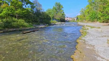 Somon balıkları Corbett Barajı, Port Hope, Ontario, Kanada 'daki yumurtlama bölgelerine göç ediyor. Somon yumurtlamak için koşar. Chinook somonu Ganaraska nehrinin yukarısına yumurtlamak için yavaş çekimde gidiyor..