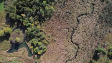 Kanada 'nın Trans-Canada patikasındaki Sonbahar parkındaki Buttermilk Vadisi' nde Kanada doğasının çarpıcı sonbahar güzelliği. Nefes kesen hava perspektifi. Yeşillik kaleydoskop ve canlı yaprak ağaçları manzarası.