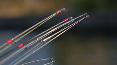 Dönen balıkçılık çubukları ve monofilament çizgileri olan döküm çubukları ve bulanık göl arka planında örgü. Balıkçılık arka planı, seçici odak ve rüzgarda yavaş çekim hareketi.