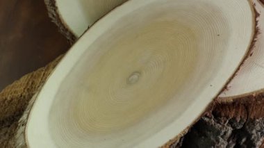 Tahta daire kütük gövde arka planı üstten. Testere kesimi ağaç dönüşünü kesti.