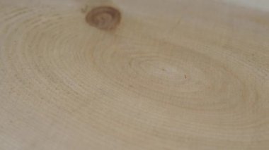 Eski dişbudak ağacı halkaları dokusu yakın. Seçici odaklanma. Tahta daire kütük gövde arka planı üstten. Çapraz kesit ağaç gövdesi dönüşünü kesti.