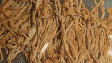 Kurutulmuş halüsinojenik sihirli mantarlar. Psikoaktif Psilosibin mantarları halüsinasyona neden olur. Canlı görüş ve renkler. Kurumuş kurutulmuş mantar tüketimi için mantar..