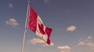 National flag of Canada waving in Toronto, Ontario, Canada for honour. Canadian flag flies at mast.