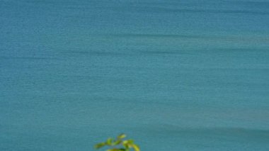 Ontario, Kanada 'daki Manitoulin Adası' ndaki Sheguiandah 'daki Ten Mile Point Ticaret Merkezi' nden görüntü. Huron Gölü 'nün sularını çevreleyen sahil ve rıhtım ya da balıkçı teknesi tatil evi ya da kulübesi yakınında..