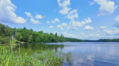 Magnetawan Belediyesi, Kanada 'daki göle halka açık tekne kalkışı. Güzel bir deniz ve ağaçlı bir orman. Yaz boyunca seyahat ve macera. Destansı panoramik su ve yeşil bitki örtüsü manzarası.