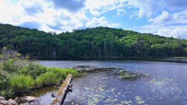 Britanya Kolumbiyası, Kanada, Kuzey Amerika 'da sakin göl panoramik manzarası. Yaz günü yolculuk sırasında kayalar, çakıl taşları ve odunlarla dolu bir liman. Dağlarda mavi gökyüzü ve beyaz bulutlarla.