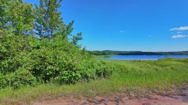 Pickerel Gölü 'ne halka açık tekne kalkışı. Ontario doğayı rahatlatıyor. Kanada, Kuzey Amerika 'daki Ontario sularının ifadesi. Göl Ormanı Doğal Manzara.