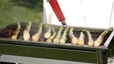 Barbekü ızgarasında kuşkonmaz kızartması yakın. Taze yeşil kuşkonmaz ya da serçe otu pişirmek odun kütüklerinde demir metal ızgarayla mangal yapmak. Karışık vejetaryen salatası için ızgara sebze.