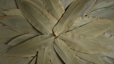 Yeşil bambu yaprakları yavaş döner. Kanton tarzı Zongzi için yemek kalitesinde bambu yaprakları masa arkası, Ejderha Teknesi Festivali 'nde pişirilmiş bambu sarılı pirinç köftesi, Duanwu.