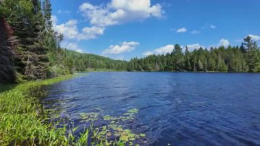 Kuzey Ontario tacı sonsuz yeşil ormanlı güzel göl manzarasını gözler önüne seriyor. Ontario, Kanada 'da Bancroft yakınlarındaki Wild Crown Land Gölü. Kuzey Amerika 'nın keşfedilmemiş doğası. Destansı manzara.