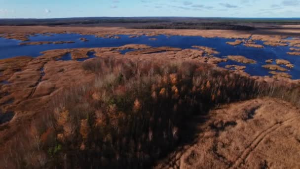 Tiroteio Drone Lago Jurmala Latvia Outono 2022 Imagens Alta Qualidade — Vídeo de Stock