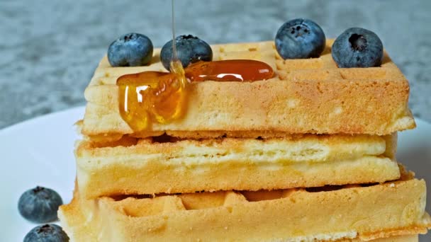 蜂蜜とベリーで朝食のためのベルギーのワッフル 朝食の蜂蜜のベリーを販売するための概念 高品質4K映像 — ストック動画