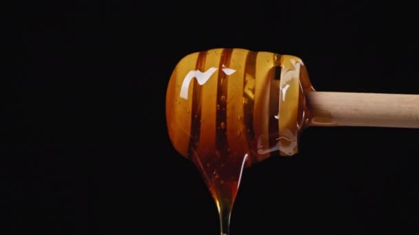 Close Honey Flows Houten Lepel Zwart Geïsoleerde Achtergrond Hoge Kwaliteit — Stockvideo