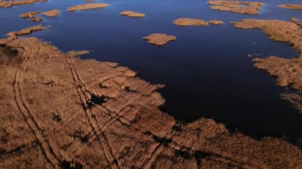 Schieten Vanuit Drone Lake Jurmala Letland Herfst 2022 Hoge Kwaliteit — Stockvideo