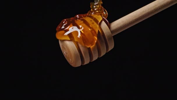 蜂蜜は黒い隔離された背景の木製のスプーンを流れ落ちる 高品質4K映像 — ストック動画