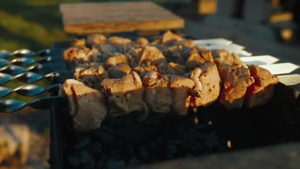 Barbacoa Saboreando Carne Jugosa Shashlik Kebabs Parrilla — Vídeo de stock