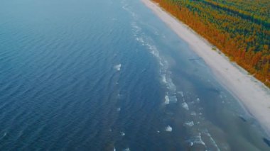 Jurmala 'nın deniz dalgaları ve parlak altın kumun, bir dron kullanarak yukarıdan aşağıya doğru görüntülenişini izleyin..