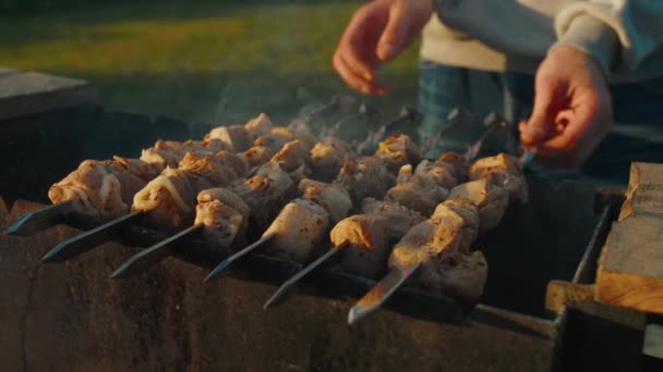Savory Shashlik Kebab Cucinato Sul Barbecue — Video Stock