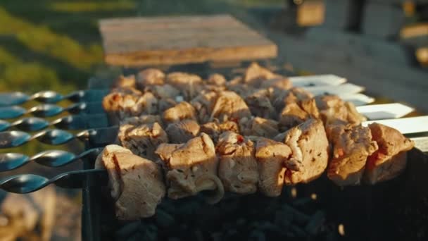 Syrový Hovězí Steak Přemění Lahodnou Pochoutku — Stock video
