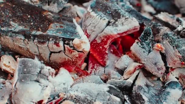 Close View Charcoal Showcases Vivid Red Glow Emanating Its Core — Stock Video