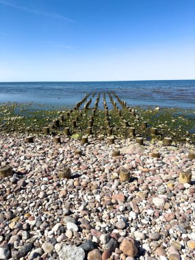 Suda iskelesi olan kayalık bir sahil. İskele yeşil alglerle kaplı. Su sakin ve berrak.