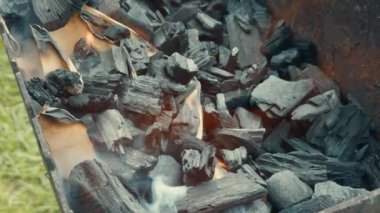 Mangal kömürü ateşlenir ve arka bahçedeki ızgarada yanmaya başlar. Arkadaşları ve ailesi ile birlikte bir yaz pikniğine hazırlanır..