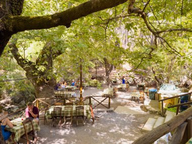 Misafirler, yemyeşil ağaçlarla çevrili, güneşli bir günde huzurlu bir atmosfer yaratan büyüleyici bir açık hava yemek alanında rahatlayıp yemeklerini yiyorlar..