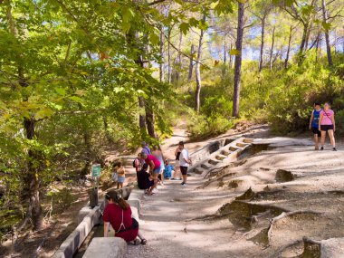 Aileler ve çocuklar, yemyeşil ve ağaçlarla çevrili dolambaçlı bir patika boyunca güneşli bir açık hava macerasının tadını çıkarıyorlar..