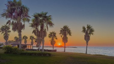 Canlı bir günbatımı, plajın kenarındaki palmiye ağaçları gibi sıcak renklerle gökyüzünü boyar. Güneş ufukta batıyor, sakin suya yansıyor..