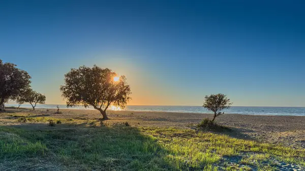 Sakin bir sahil sahili, gün batımının canlı renkleriyle özetlenmiş ağaçları gün geçtikçe geceye dönüşen uzun gölgeleri gözler önüne seriyor..