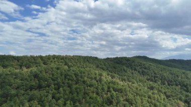 4k Drone Video, çam ağacı ormanıyla kaplı dağın tepesinde uçuyor..