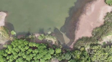 4k drone videosu: Göl kıyısı ve bataklık alanının yukarıdan aşağı görüntüsü.