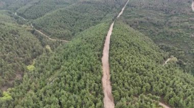 4k drone videosu: Dağ tepesindeki çam ağacı ormanının üzerindeki toprak yol.