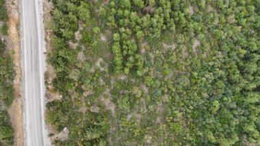 4k drone videosu: Hava aracı görüntüsü, asfalt yolu ile insansız hava aracının yatay hareketi