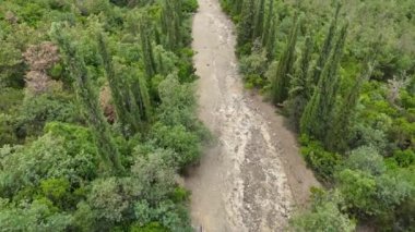 4k Video. Dağ zirvesinin üzerinden drone 'la hava görüntüsü. Çam ağacı ormanıyla kaplı dağ sırası.