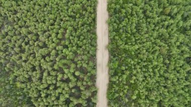 4k drone videosu: toprak yol hareketinin hava görüntüsü.