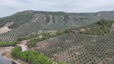 4k drone videosu: tepe ve dağ arkaplanı üzerinde büyük tarım alanı.