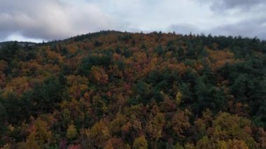 4k drone görünümü dağın tepesinde sonbahar (sonbahar) ormanın renkleri bulutlu havada