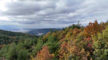 Sonbaharın 4k drone videosu. Sonbahar renkleri, sarı, kırmızı ve yeşil çam ağaçları orman gölü ve şehir arkaplanı.